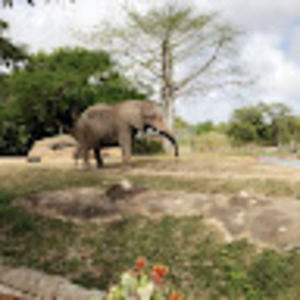 Meet your Posher, Ashlyn